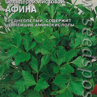 Сельдерей листовой Афина, 0,1 г (Bejo Zaden)