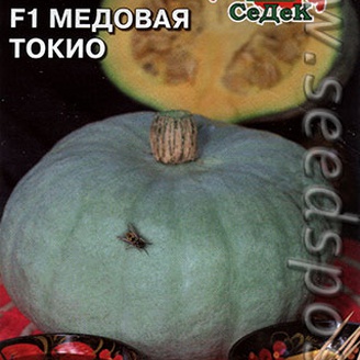 Тыква Медовая Токио F1, 1 г