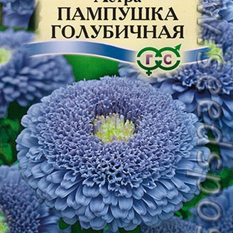 Астра Пампушка Голубичная, 0,3 г