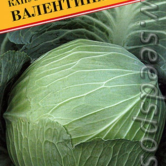 Капуста белокочанная Валентина F1, 15 шт.