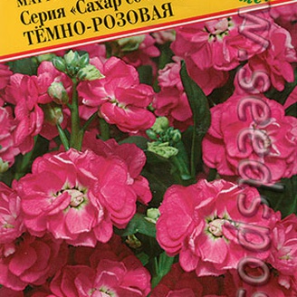 Маттиола седая Сахар со специями Темно-розовая, 10 шт.