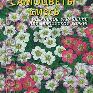 Камнеломка Самоцветы, Смесь, 0,01 г