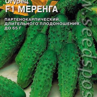 Огурец Меренга F1, 5 шт. Seminis