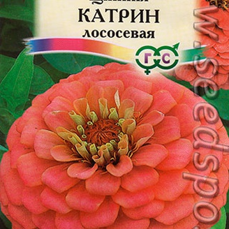 Цинния Катрин Лососевая, 0,3 г