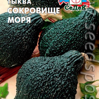 Тыква Сокровище моря F1, 1 г