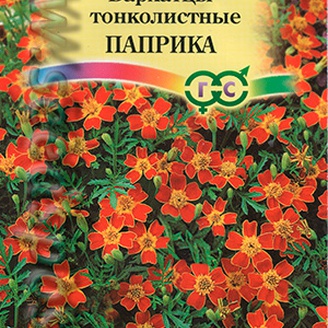 Бархатцы тонколистные Паприка, однолетник, 0,05 г