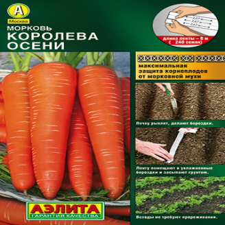 Морковь Королева Осени, ЦВ, 2 г